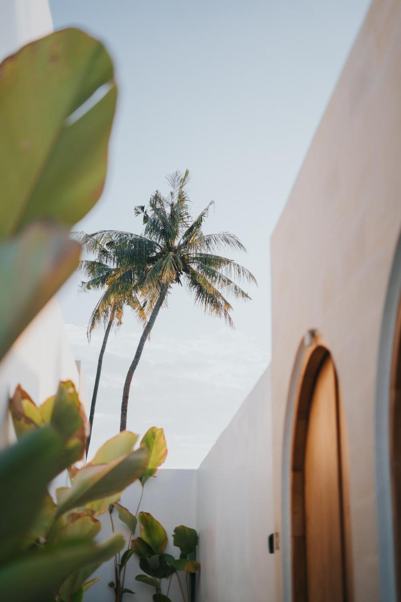 Brandon Villa Lovina With Private Pool Exterior foto